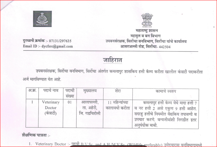 Van Vibhag Gadchiroli Bharti 2025
